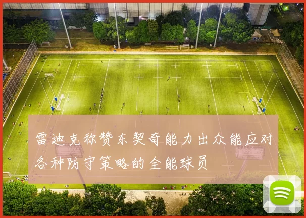 雷迪克称赞东契奇能力出众能应对各种防守策略的全能球员